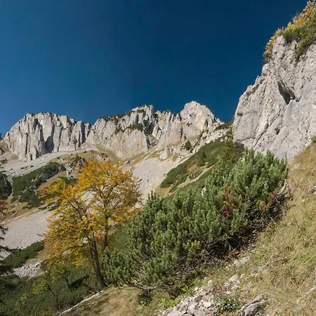 Sigrid & Ferdinand Berginc Séjour chez l'habitant *